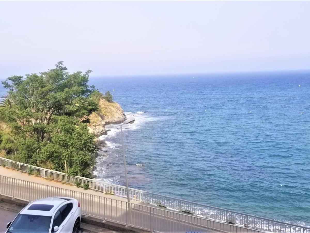 Appartement T3 A Banyuls, Climatise, Proche Plage - Fr-1-309-281 Exteriör bild